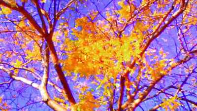 Music: Symphony no 7
in a major by Beethoven - The Story of Film: A New Generation