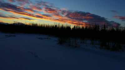 Must have some sustenance. - Life Below Zero: Next Generation