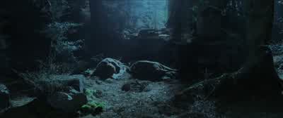 Must have the precious. - The Lord of the Rings: The Two Towers