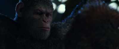 -Must save them! But how?
-Must think! What would Caesar do? - War for the Planet of the Apes