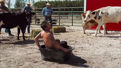 My ass hurts so fucking bad - Jackass Number Two