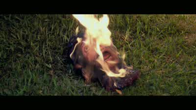 My ass is on fire! - The Final Destination