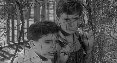 My aunt says it's bat infested - To Kill a Mockingbird