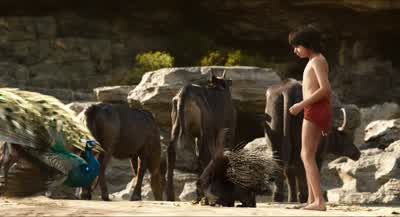 SorryMy bad It's involuntaryI could pee on it - The Jungle Book