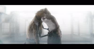 My beloved raccoon. - Guardians of the Galaxy Vol. 3