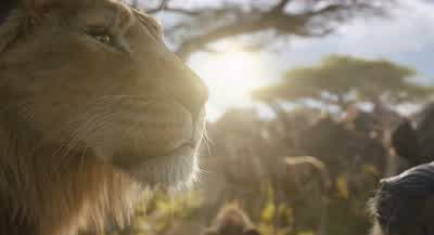 My brother, something beautiful awaits you. - Mufasa: The Lion King