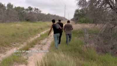 - My brother's crime
was to arrive here - Never Seen Again
