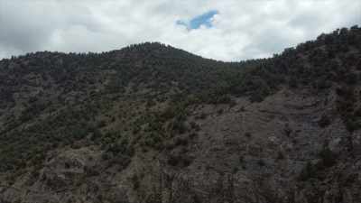 My buddy Ron, he
was just saying, - Horror in the High Desert 2: Minerva