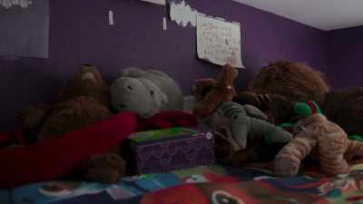 My children have stuffed
animals passed down - Alice is Still Dead