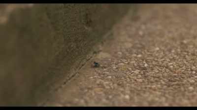 My claims about our past
had to be investigated, - Black Earth Rising