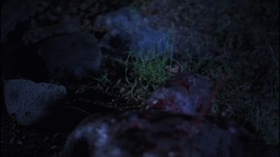 My curse is now yours - Big Bad Wolf