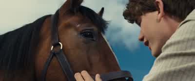 My dad had a dog who stayed when you called him. - War Horse