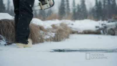 My dad's cabin's still
probably a mile upriver. - Life Below Zero: First Alaskans
