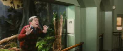 My darling boy! - Harry Potter and the Philosopher's Stone