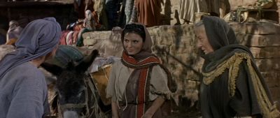 My daughter in law Welcome - The Story of Ruth