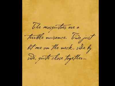 My dear! My dearest! - Nosferatu