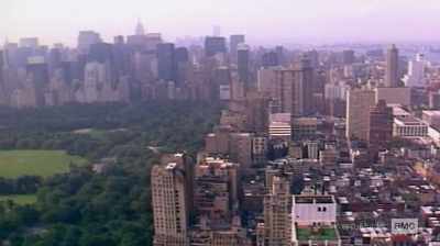 My duty captain said, - The Preppy Murder: Death in Central Park