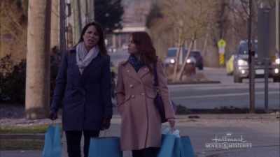 My editor wants me
to write about this case - A Bundle of Trouble: An Aurora Teagarden Mystery