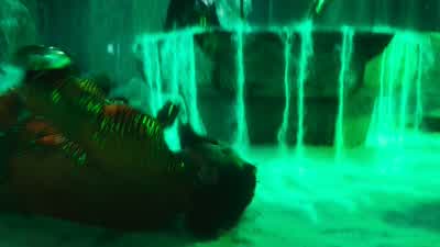 My eternal night is ending. - Aquaman and the Lost Kingdom