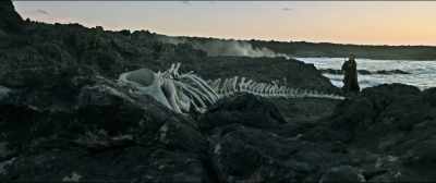 My eyes have scrutinized
every surface a thousand times. - Cold Skin