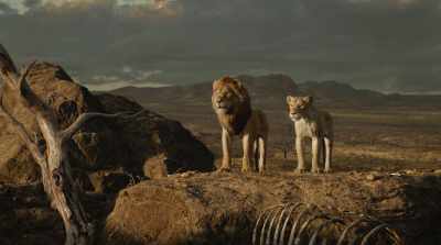 My father
once told me to protect - The Lion King