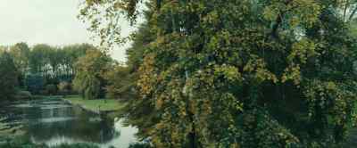 My favorite time of year - Blackwater Lane