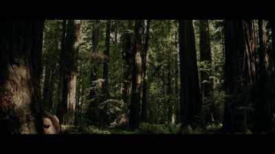 My first encounters were - Sasquatch