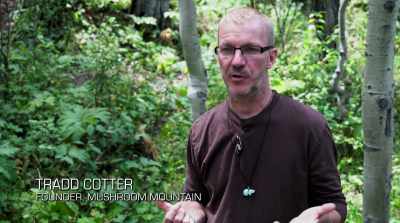 My first mushroom book - Fantastic Fungi