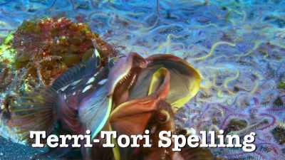 My friends call me Terry-Tori Spelling. - Absurd Planet