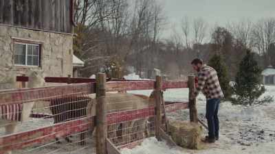 ♪ My friends say
I didn't need you anyway ♪ - Christmas on the Alpaca Farm