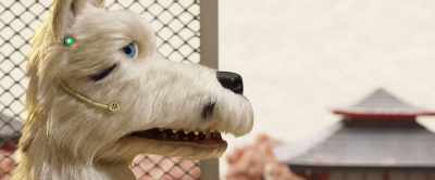 My friends think
I like to fight, - Isle of Dogs