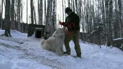 My goal on this first run is
just getting them back in tune - Life Below Zero: Next Generation