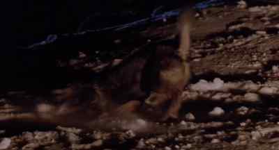 My God. Digger! - White Fang