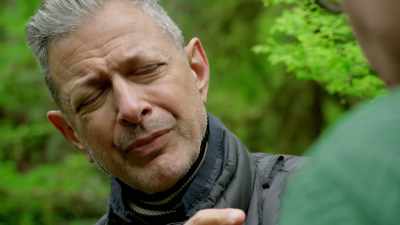My God, do you think
we can go under this tree? - The World According to Jeff Goldblum