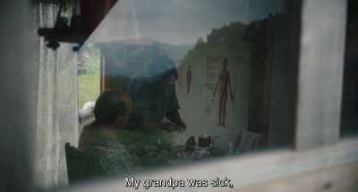 My grandpa was sick, - 20,000 Species of Bees