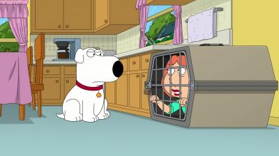 My head. - Family Guy