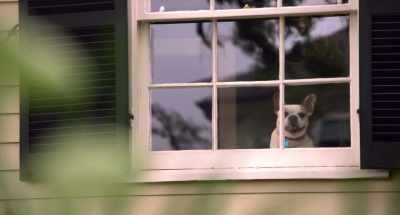 My human's in trouble
and I need your help to save him. - Think Like a Dog