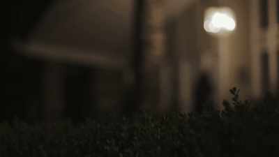 MY HUSBAND AND MY SON
AND I WOULD SLEEP - The Golden State Killer: It's Not Over