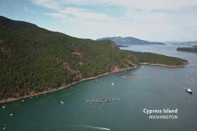 My husband and I are on our
boat in Eagle Harbor, - Artifishal
