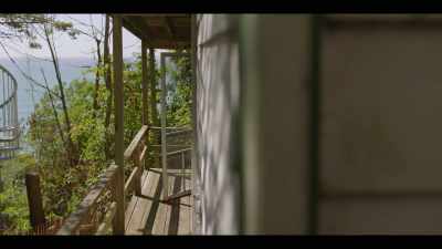 My interest in writing
began on that porch. - I'll Be Gone in the Dark