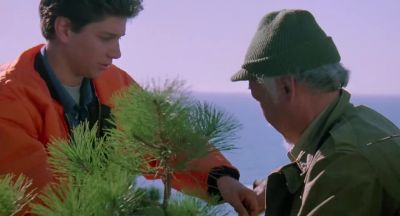 My karate comes from you - The Karate Kid Part III