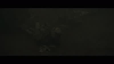 My legs! - Solo: A Star Wars Story