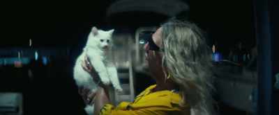 ...my little angel pussy. - The Beach Bum