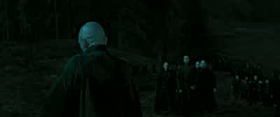 My Lord? - Harry Potter and the Deathly Hallows: Part 2