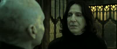 My Lord? - Harry Potter and the Deathly Hallows: Part 2