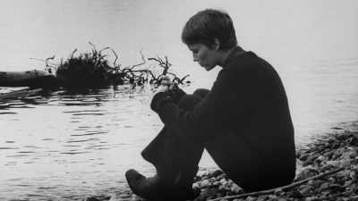 My marriage is over.
What happens? - Allen v. Farrow