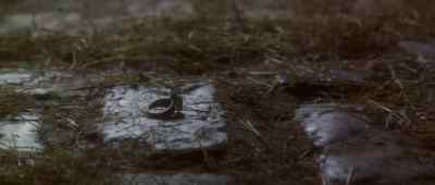 My mind was racing. - Moll Flanders