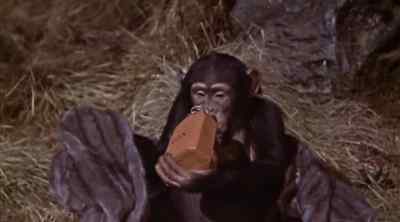 My mink, how did she get it? - Tarzan and the Lost Safari