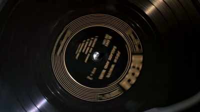 My mom got
a Josh White record. - David Crosby: Remember My Name