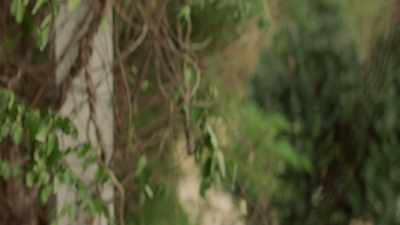My mom tried
to calm her down, - The Walking Dead: World Beyond